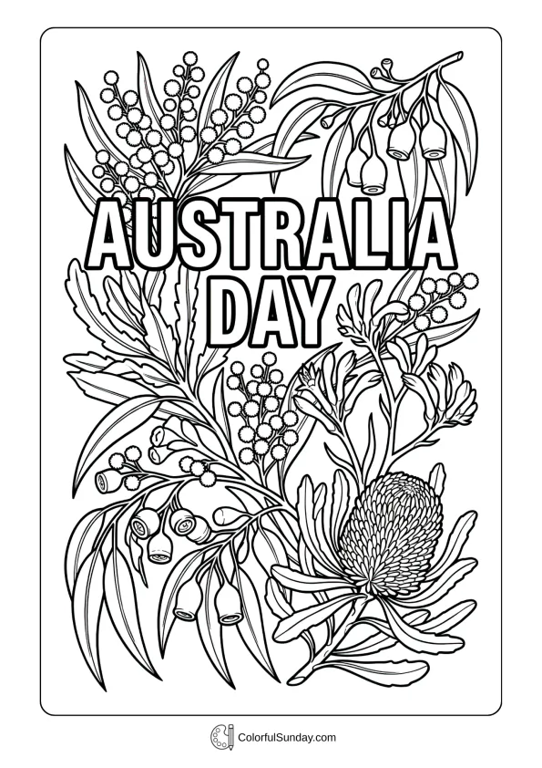 Beautiful wattle flowers blooming in a coloring page with Australia Day message and native plants