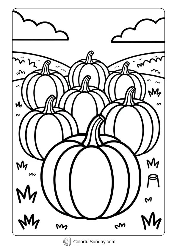 Pokemon Badges And Logo Coloring Page A pumpkin patch with large pumpkins spread across a field in a detailed coloring page.
