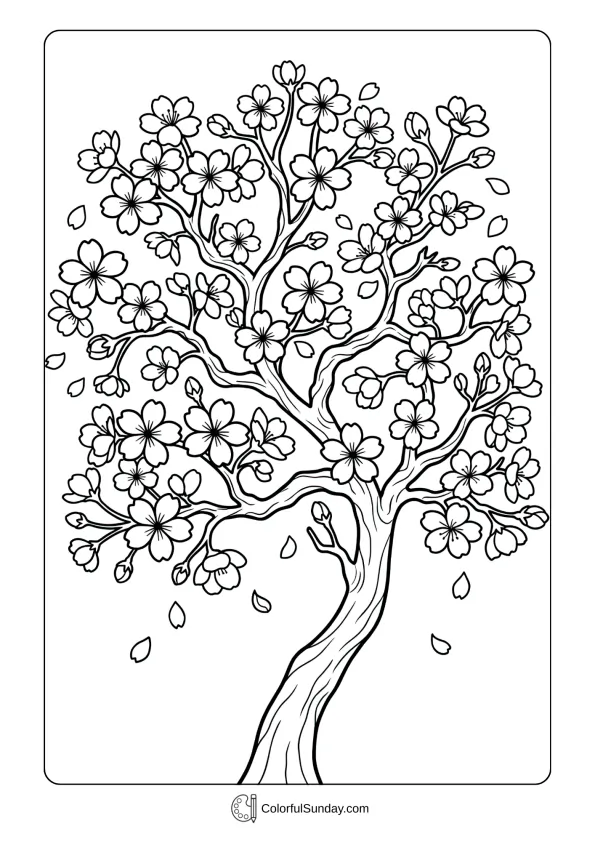 Blooming cherry blossom tree welcoming Chinese New Year in this coloring page