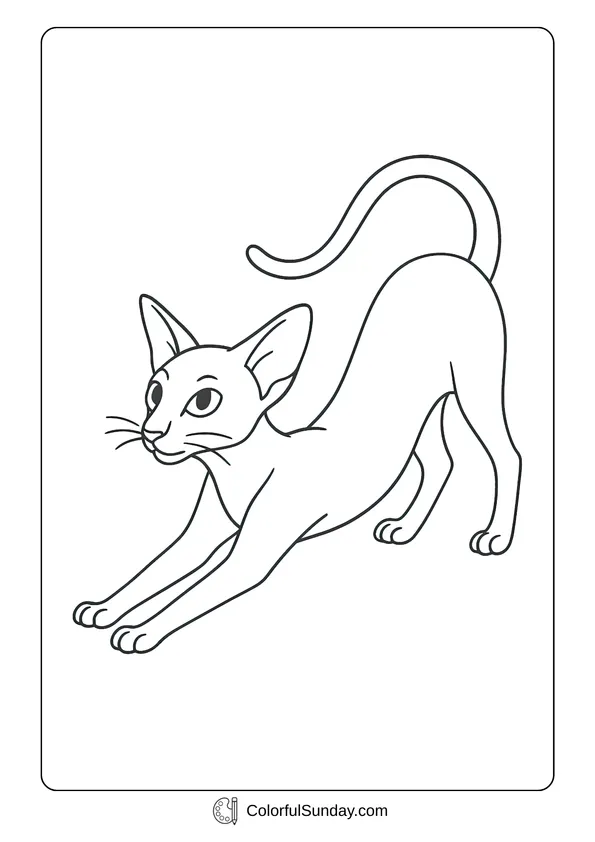 Pikachu From Pokemon Coloring Page A stretching Oriental Shorthair cute cat with tall ears and a slender body, coloring page style.