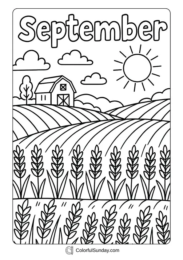 Golden Fields September Coloring Page A barn and wide golden fields under the sun with rows of crops, shown in a peaceful September farm coloring page.