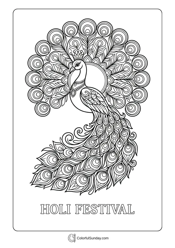 Ornate peacock with spread feathers coloring page symbolizing vibrant Holi festival celebration
