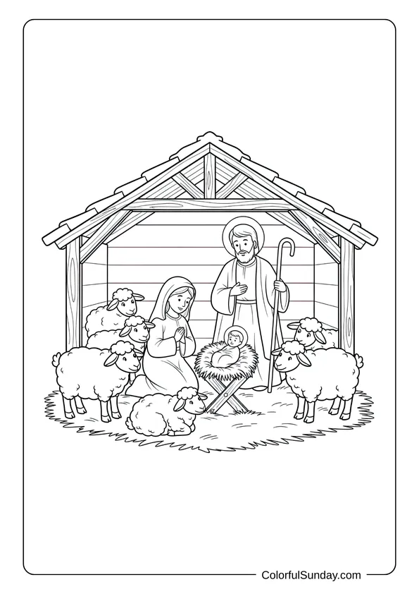 A nativity coloring page showing the stable with sheep surrounding baby Jesus and the holy family.