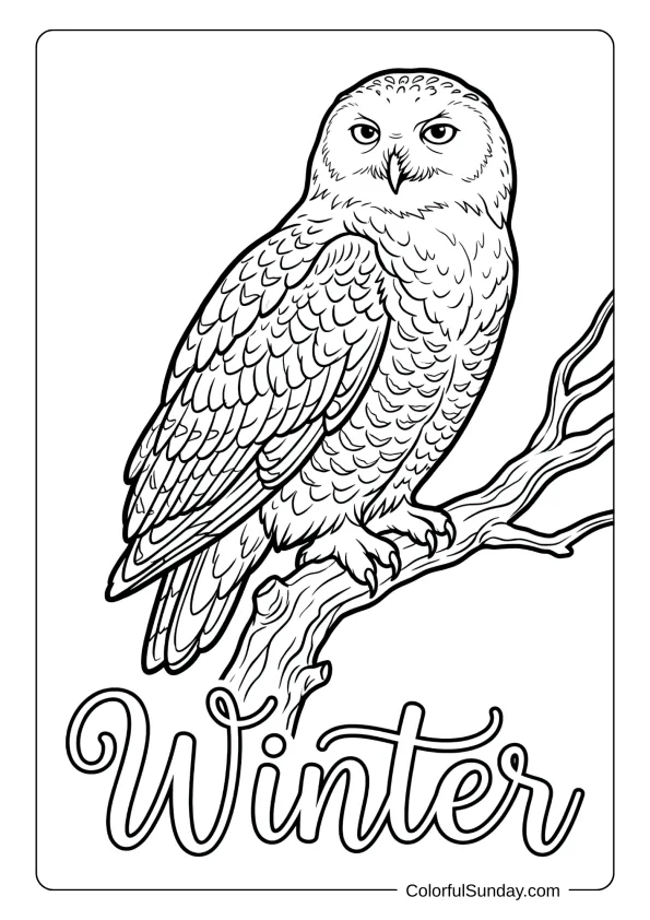 A graceful snowy owl perches among branches in this winter coloring picture.