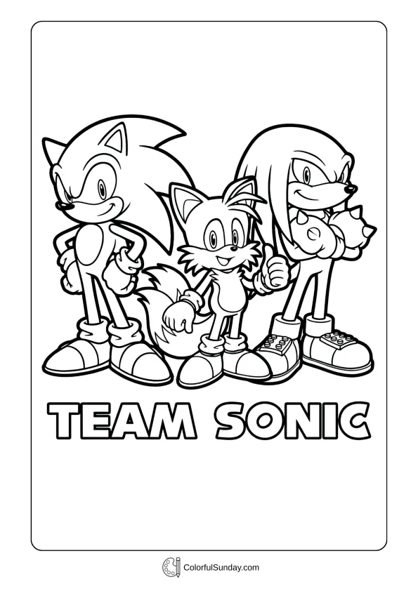 A coloring page of Sonic, Tails and Knuckles together coloring picture