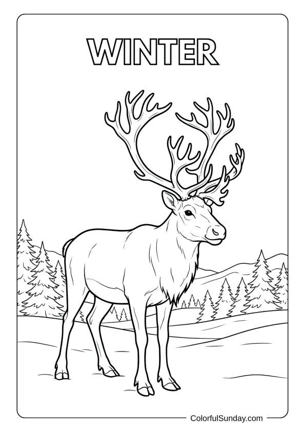 A majestic reindeer stands proud with antlers in this winter coloring page.